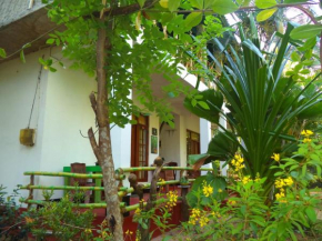 N S K Green Villa